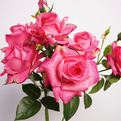 Vibrant Real Touch Rose Flowers - ZouqShoq